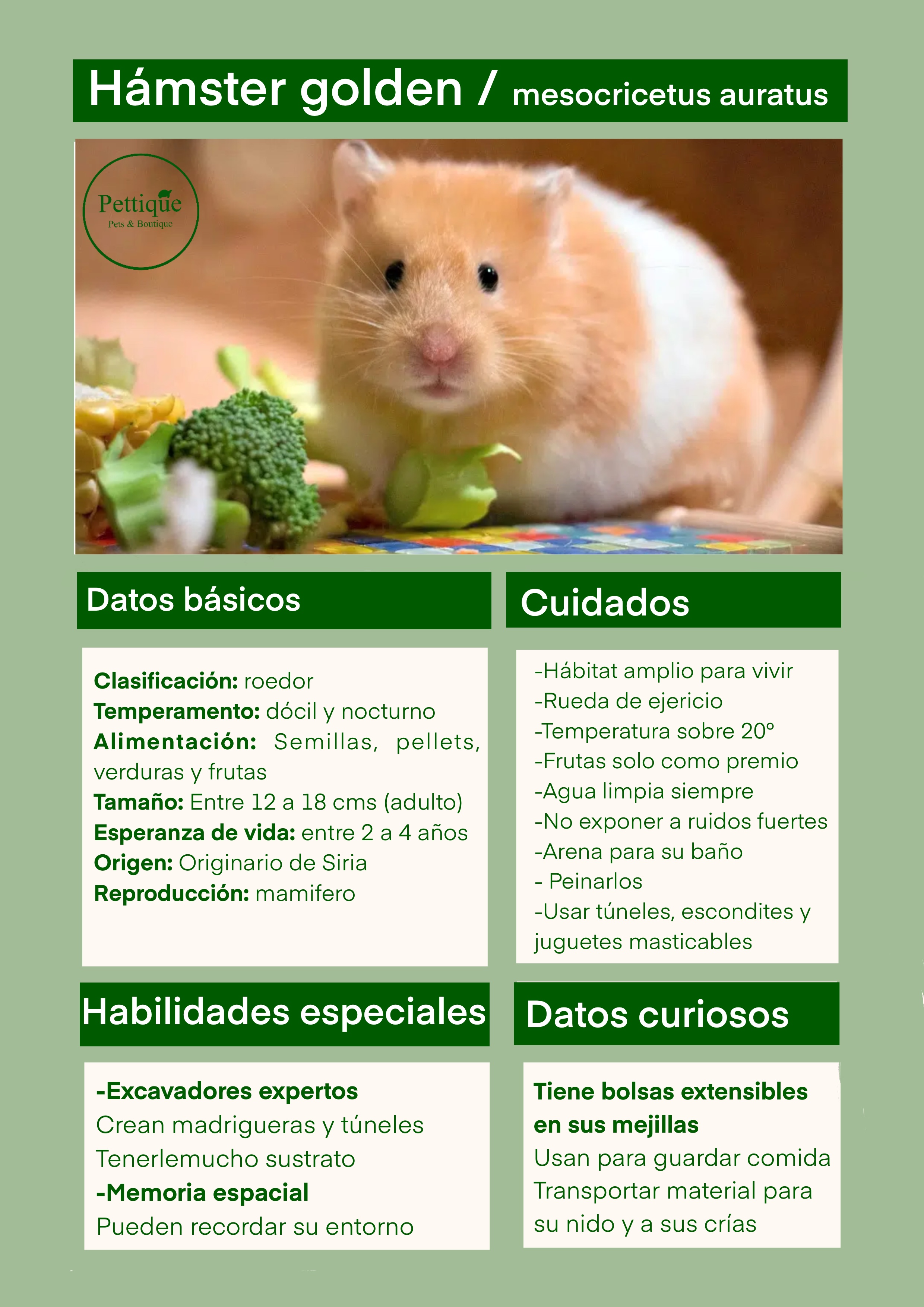 Ficha de cuidado hámster golden