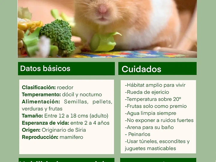 Ficha de cuidado hámster golden