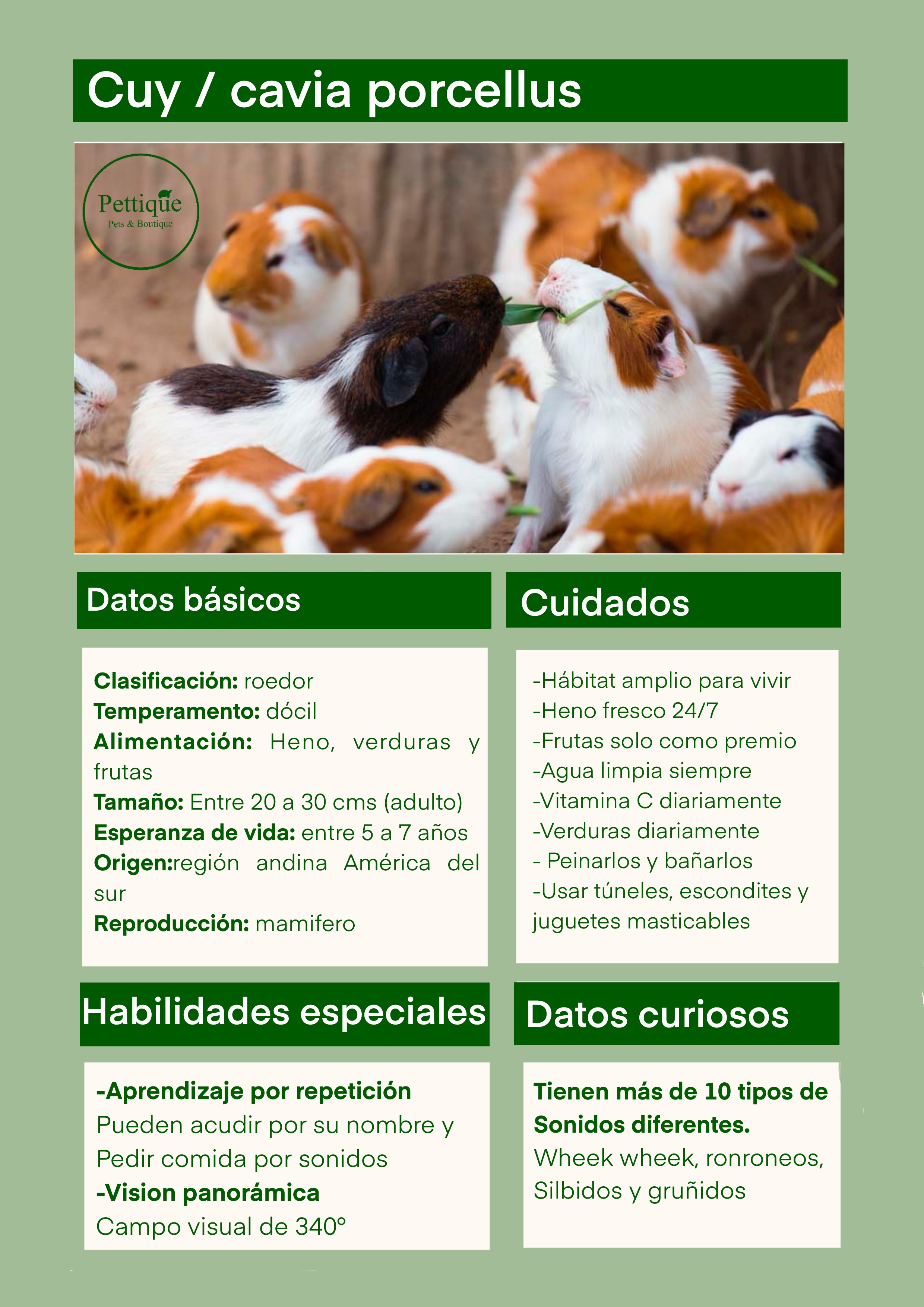 Fichas de cuidado cobaya 