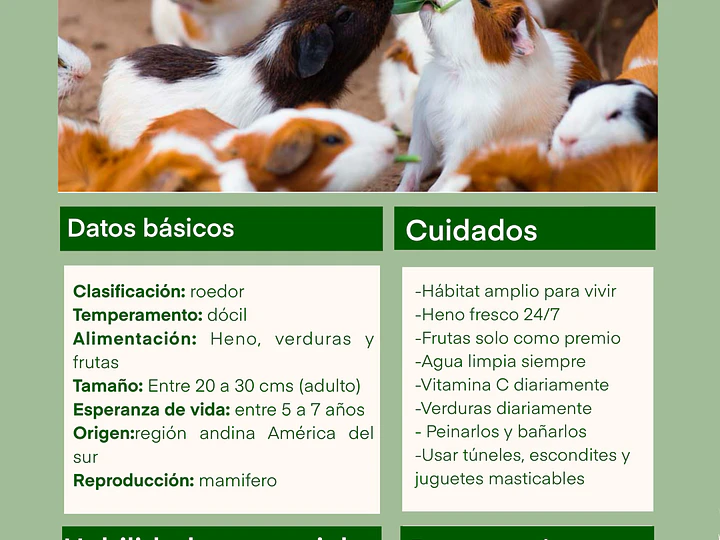 Fichas de cuidado cobaya 