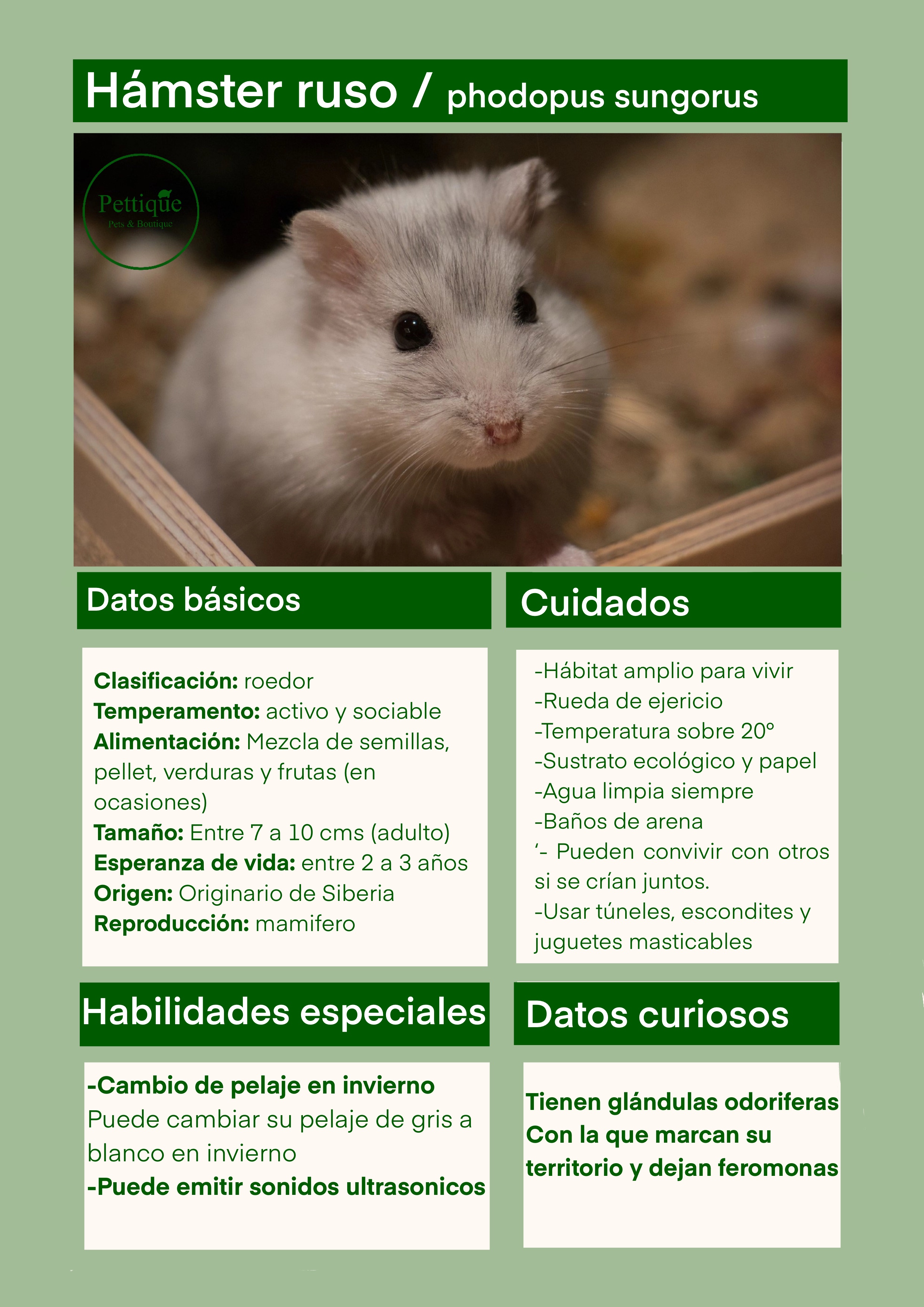 Ficha de cuidado hámster ruso