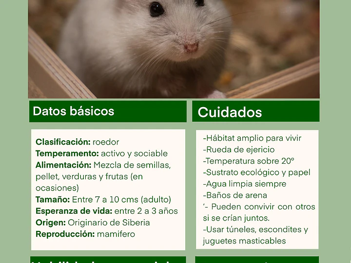Ficha de cuidado hámster ruso