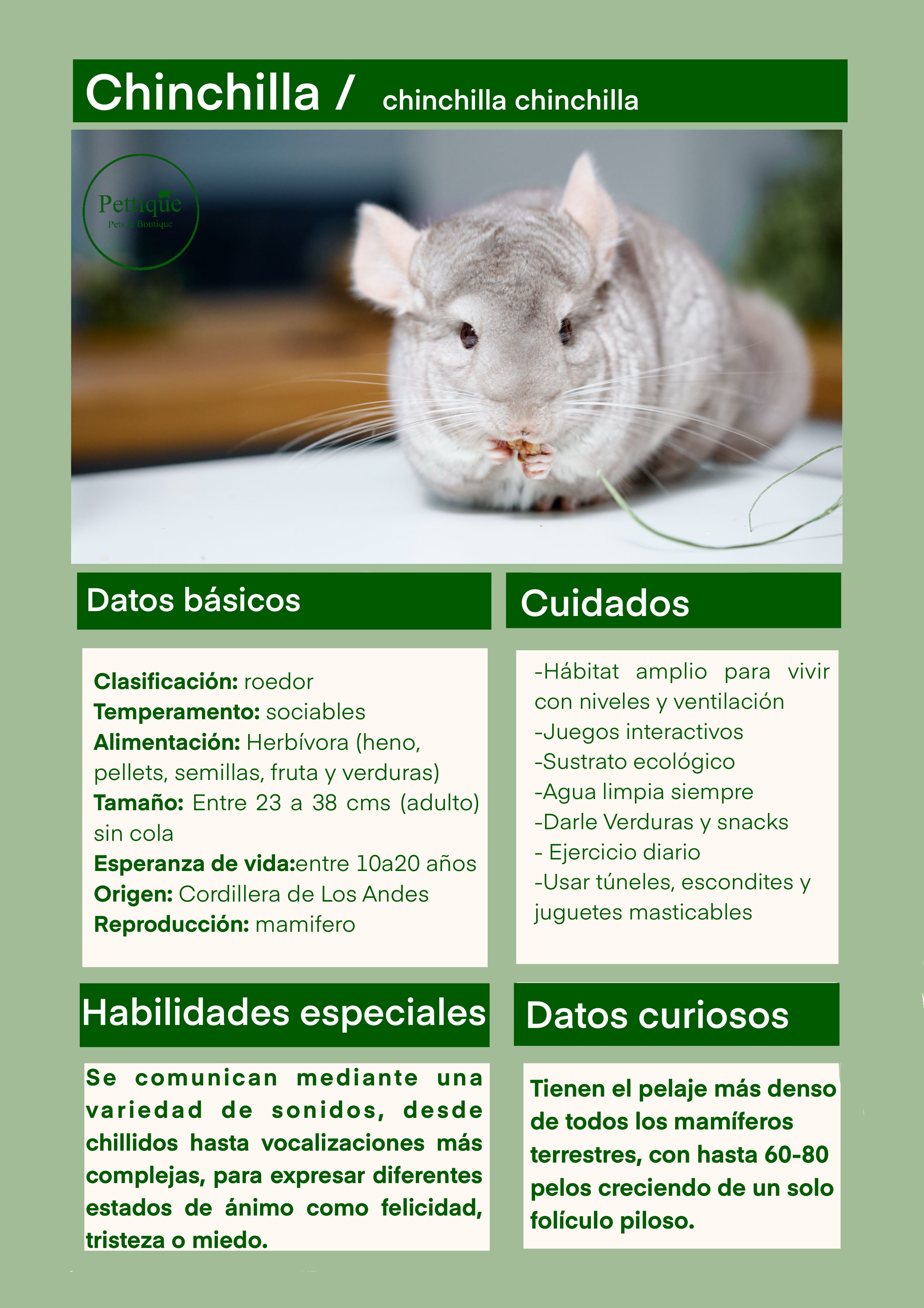 Ficha de cuidado chinchilla