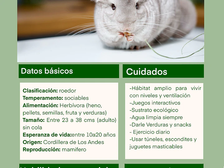 Ficha de cuidado chinchilla