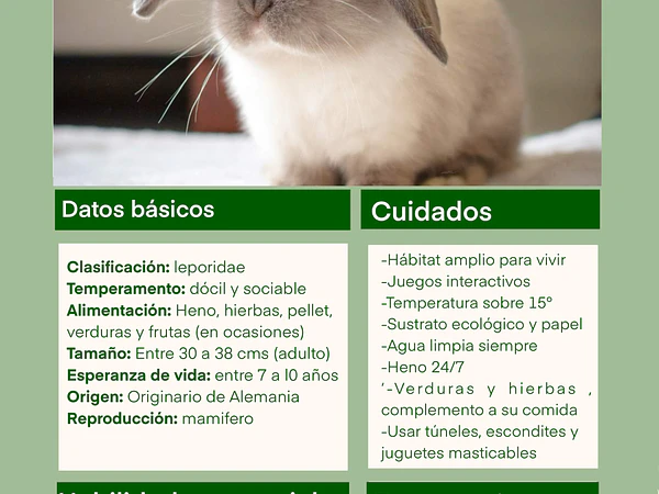 Ficha de cuidado conejo mini lop