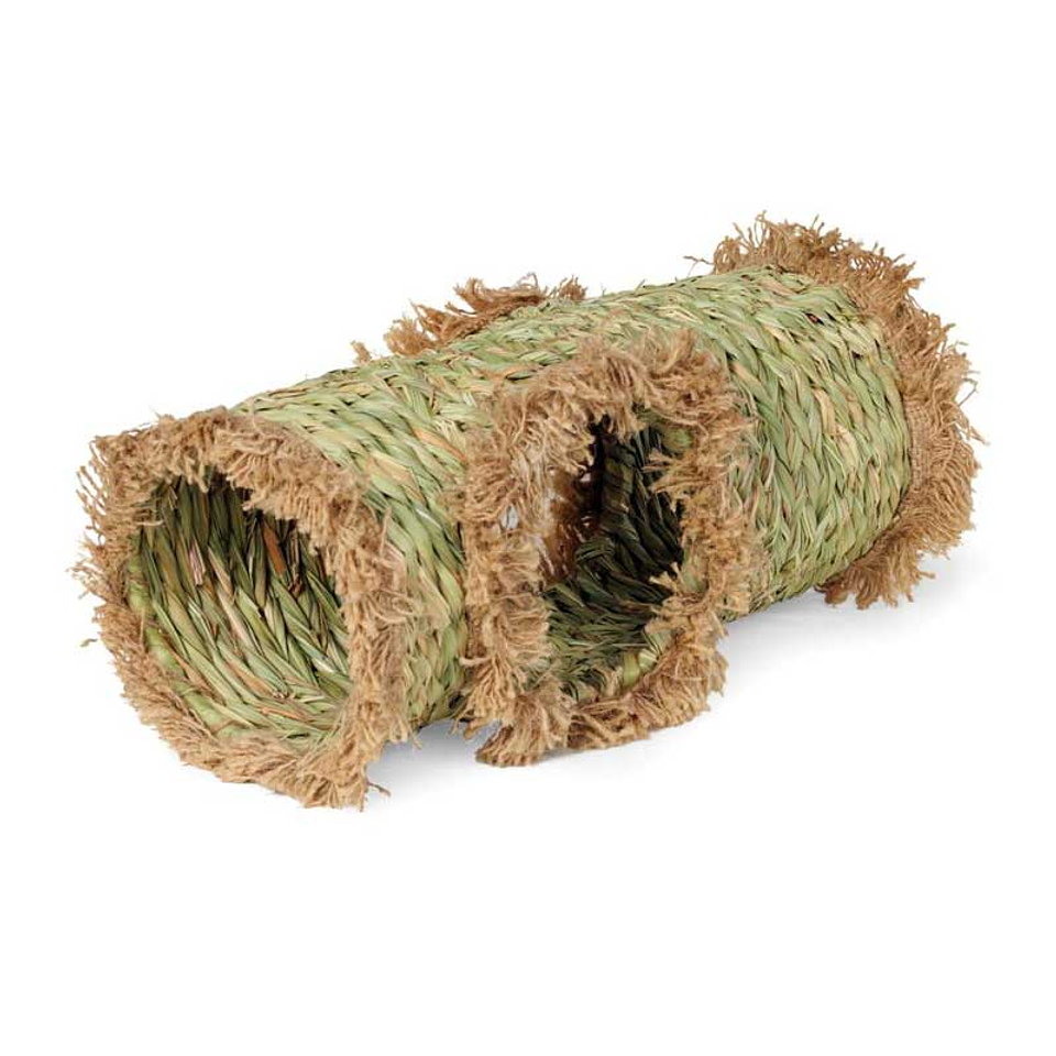 Túnel Vegetal para Pequeños Animales 1