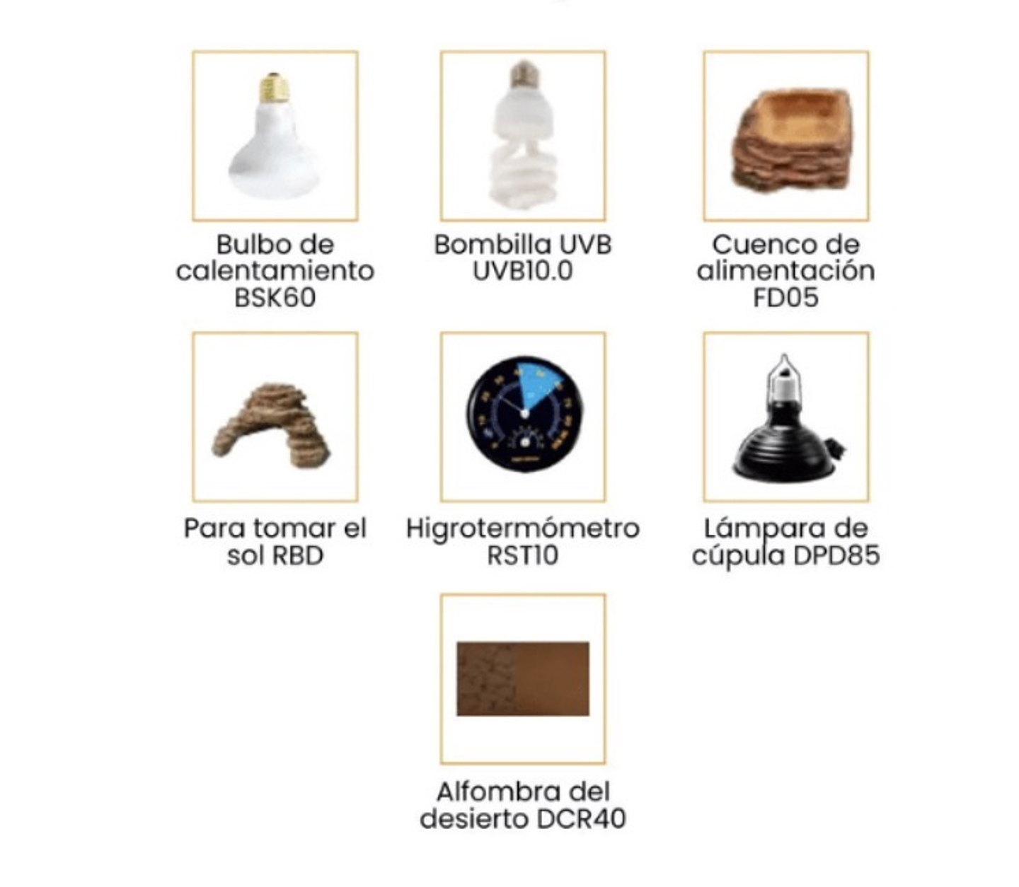 KIT DE TERRARIO DEL DESIERTO 80 L 2