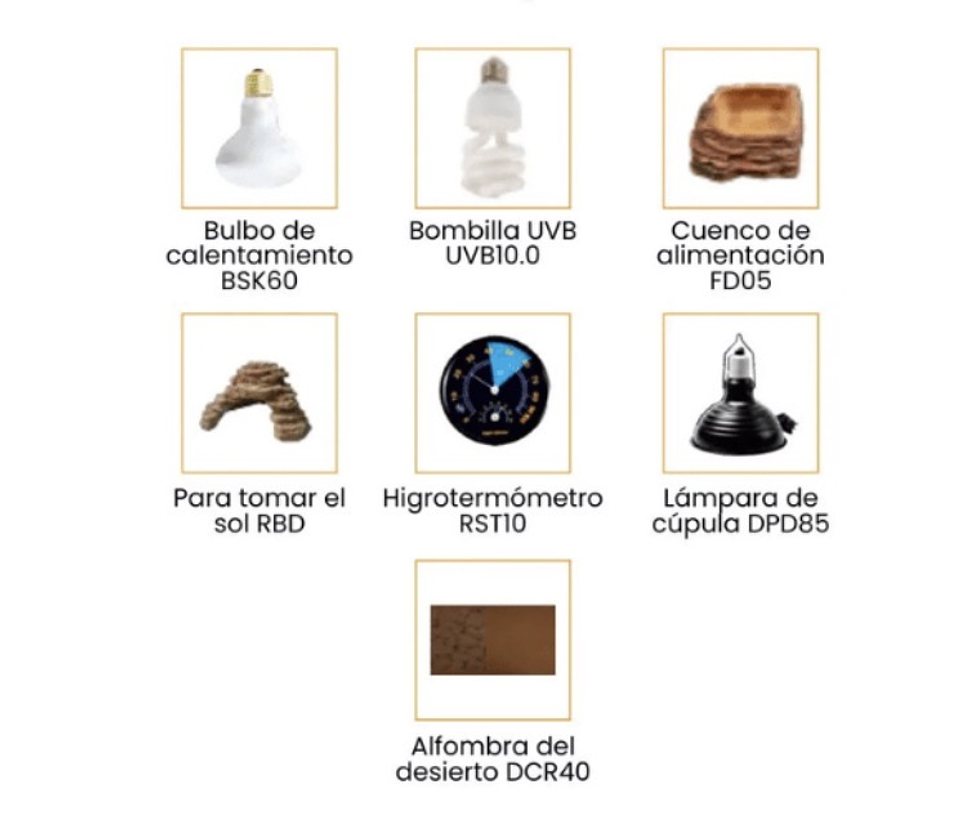 KIT DE TERRARIO DEL DESIERTO 80 L 2