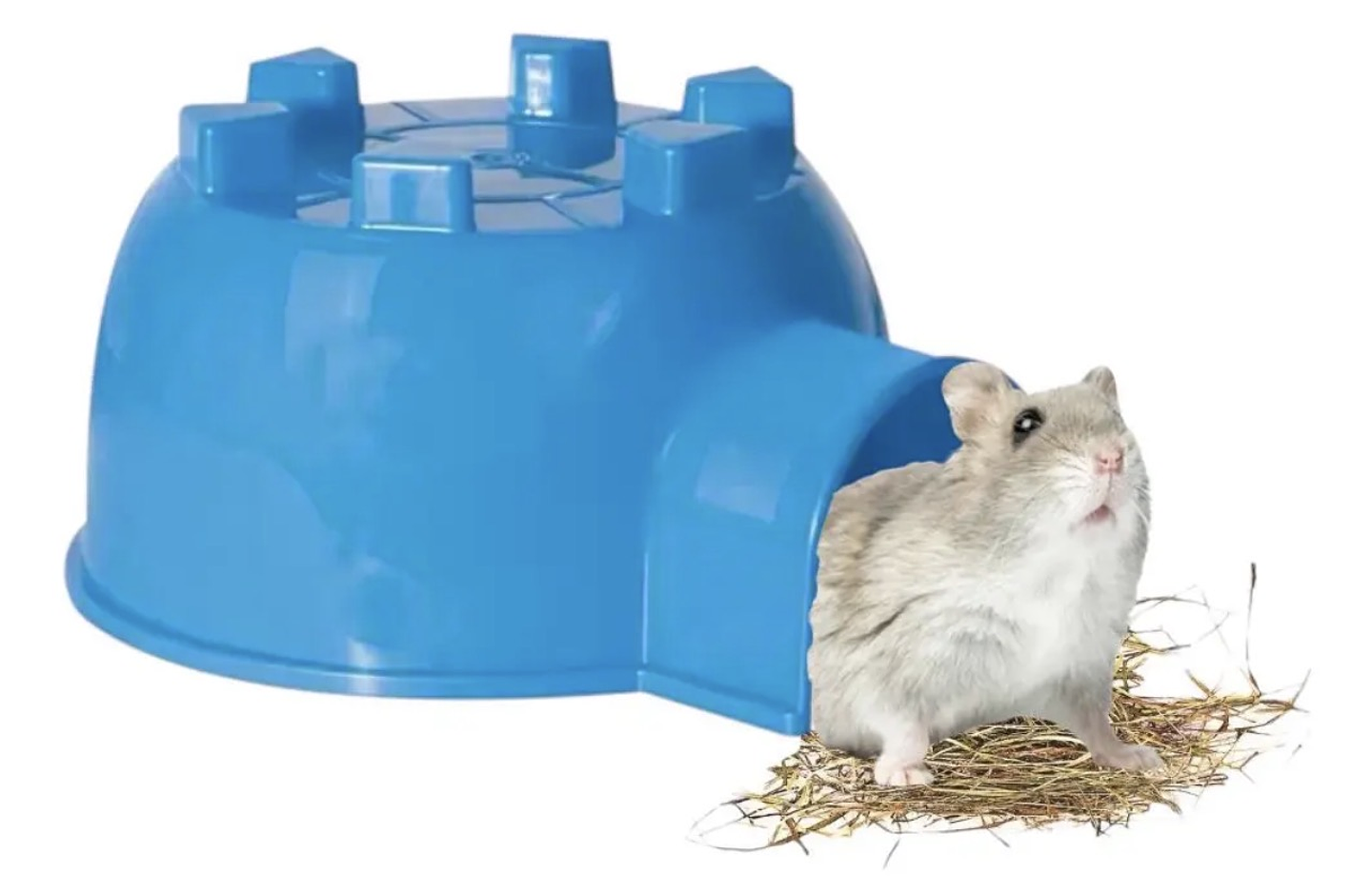 Casa forma iglú para hámster y jerbos  1