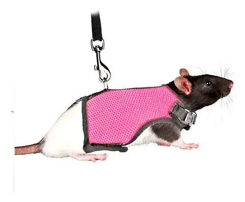 Arnés pequeña mascota talla S