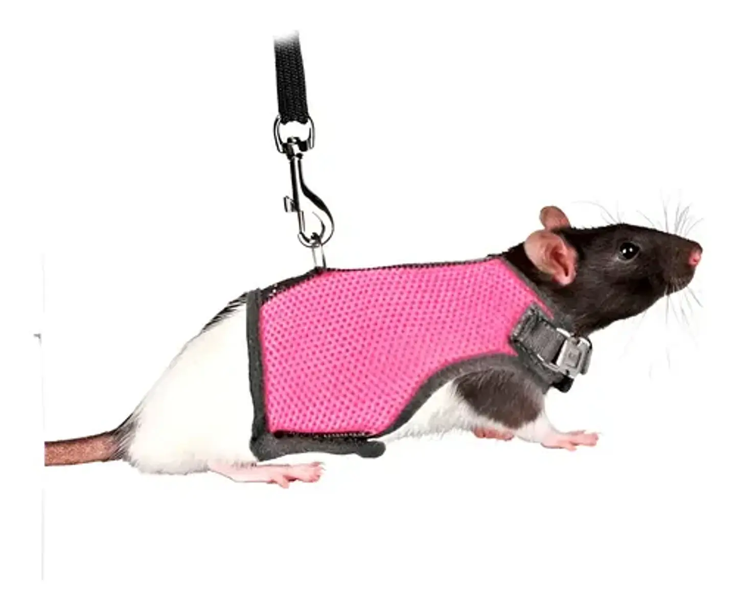 Arnés pequeña mascota talla S 1