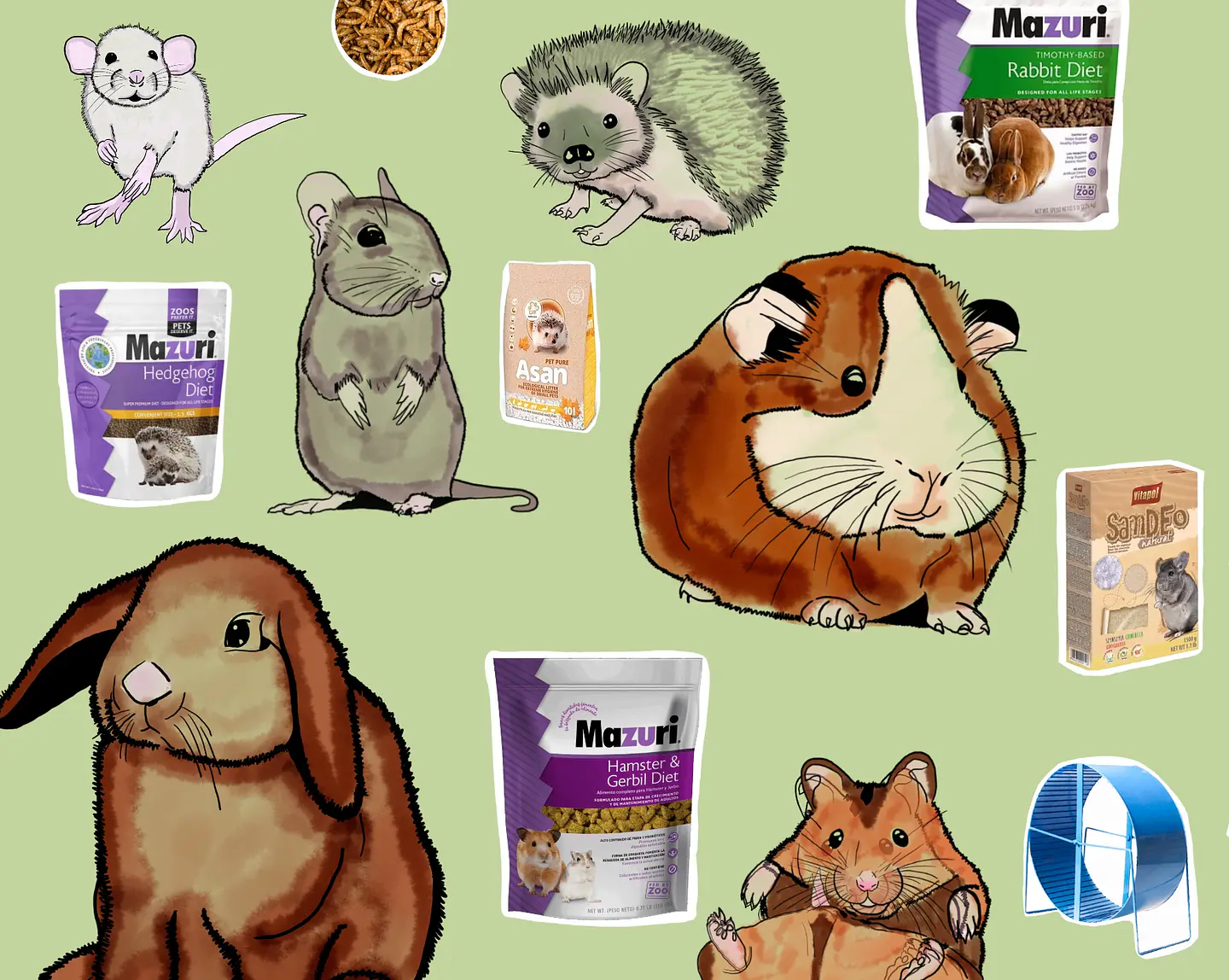 Pettique