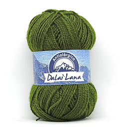 Dalai Lana - 770