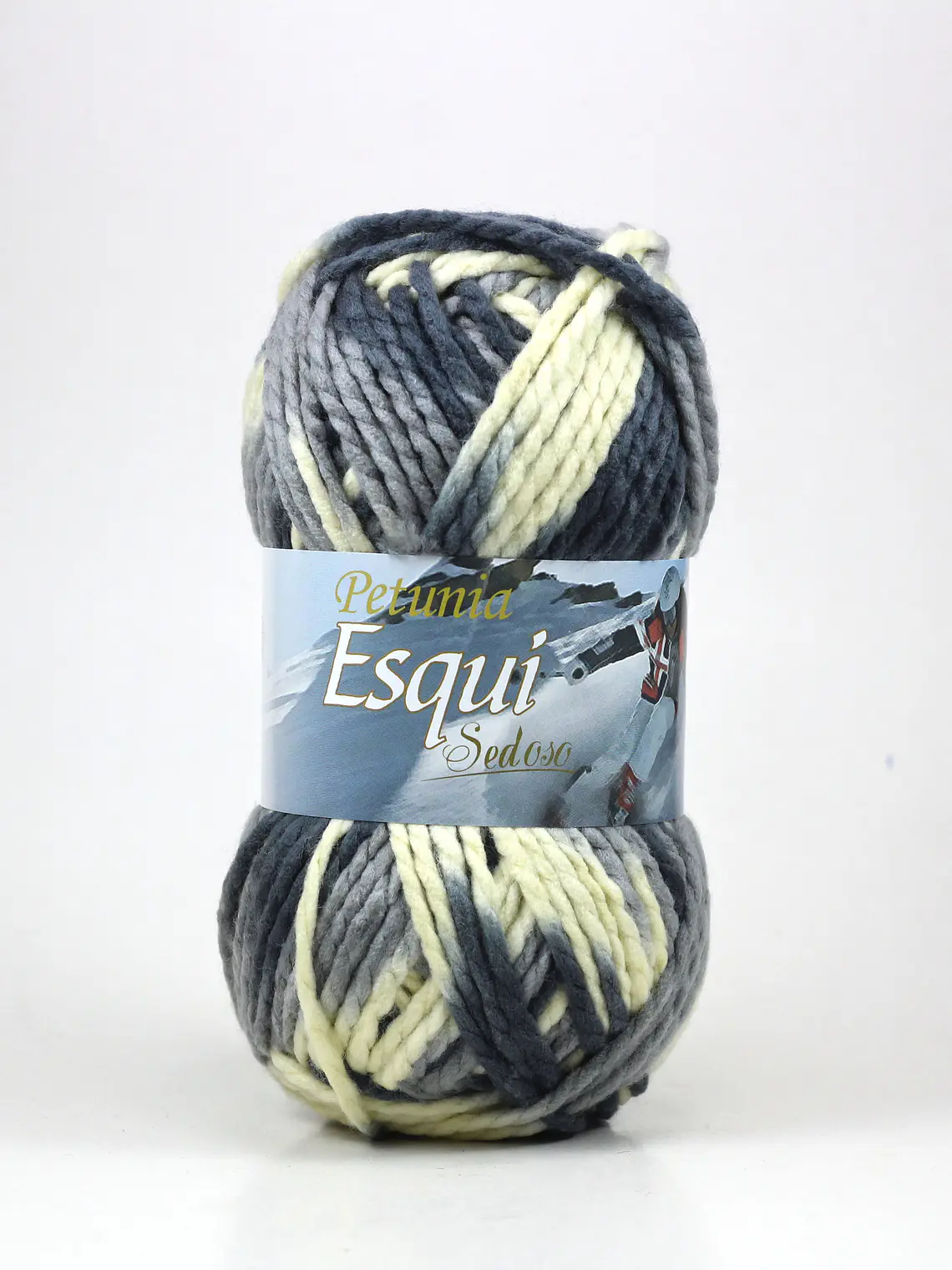 ESQUÍ - 316 1