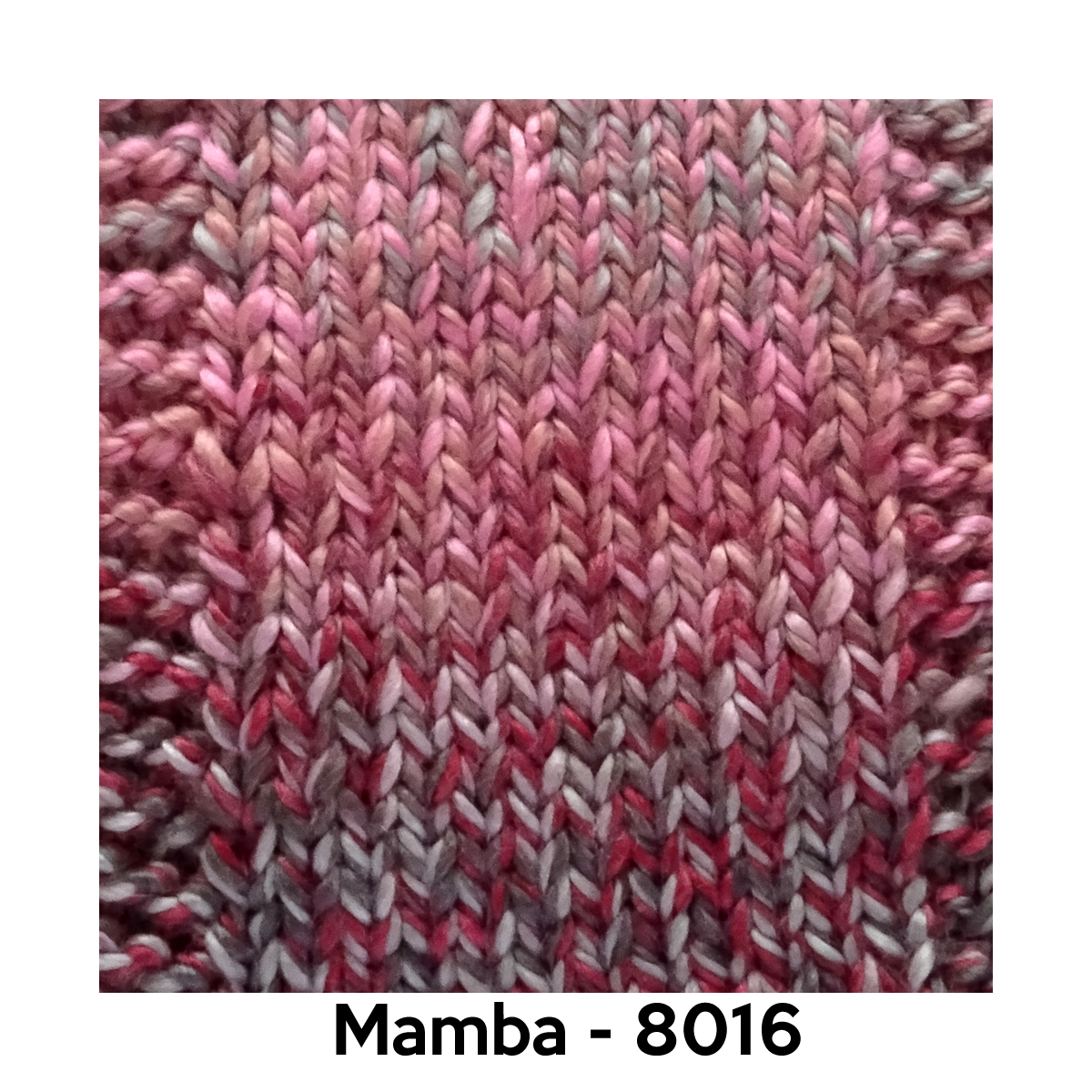 Mamba - 8016