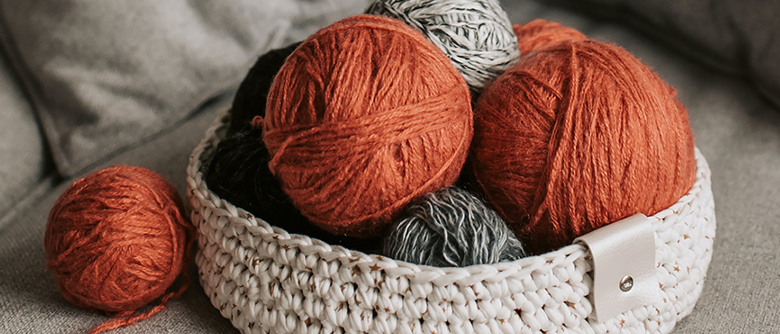 7 TIPS PARA MANTENER TUS OVILLOS EN BUEN ESTADO 