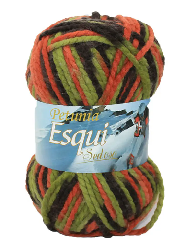 ESQUÍ - 263 1