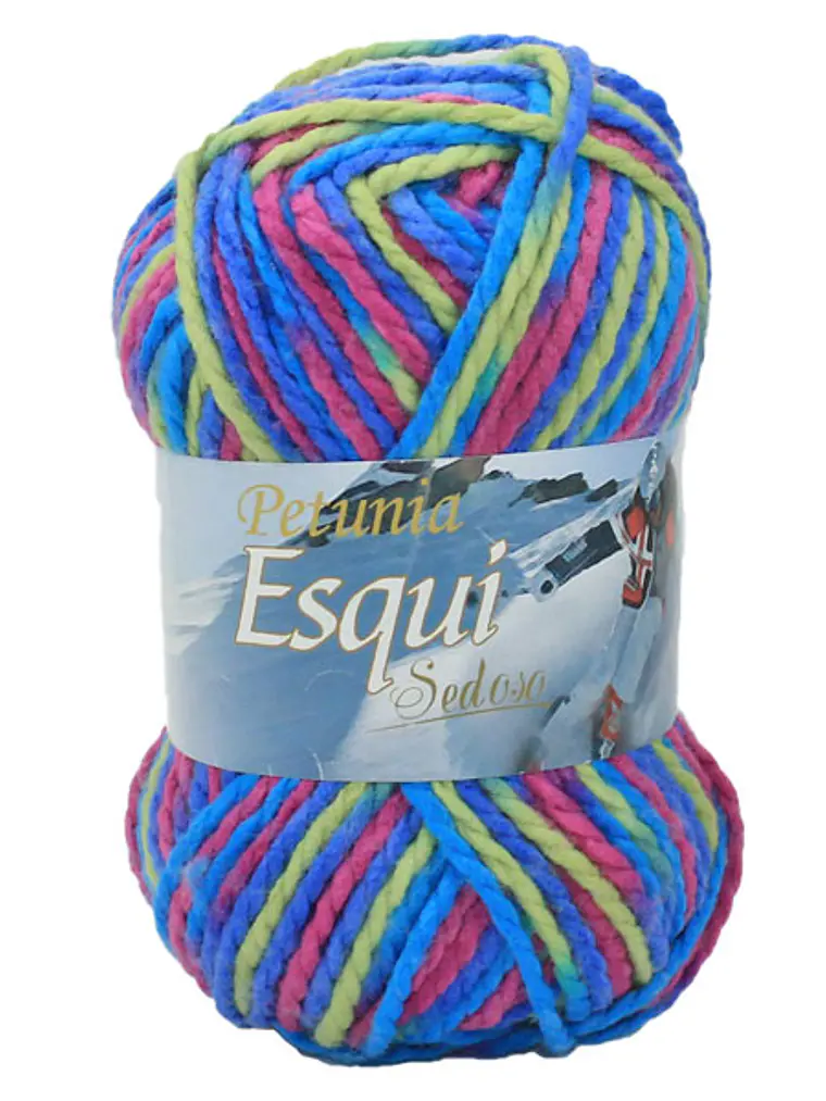 ESQUÍ - 284 1