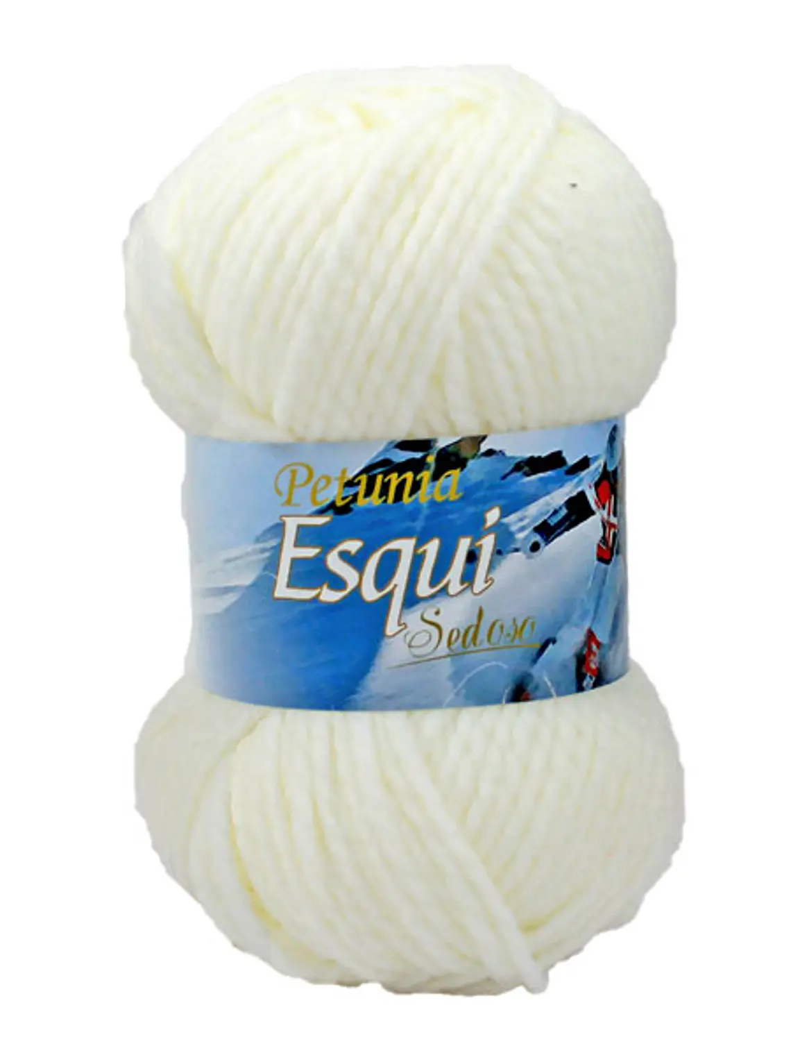 ESQUÍ - 252 1