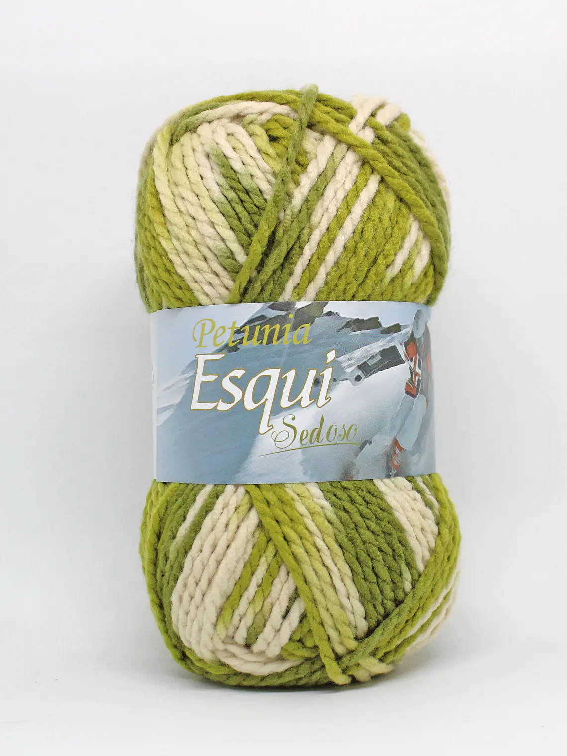 ESQUÍ - 342 1