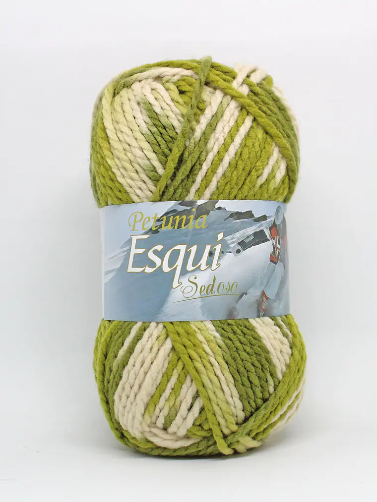 ESQUÍ - 342 1