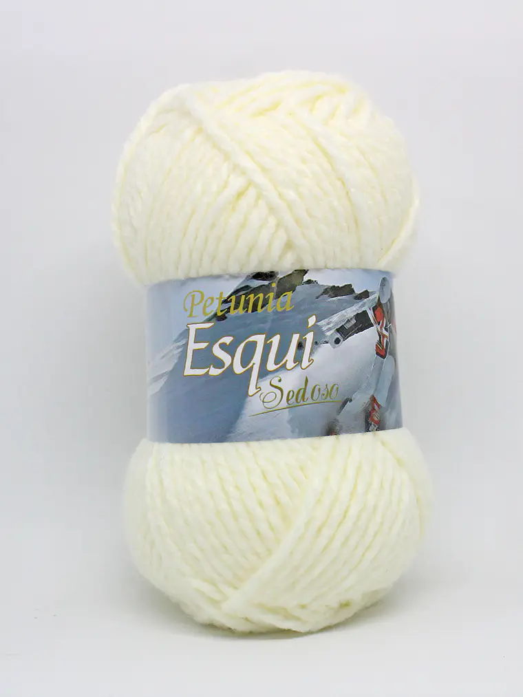 ESQUÍ - 340 1