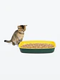 Demo - Litter (gato) - Miniatura 3