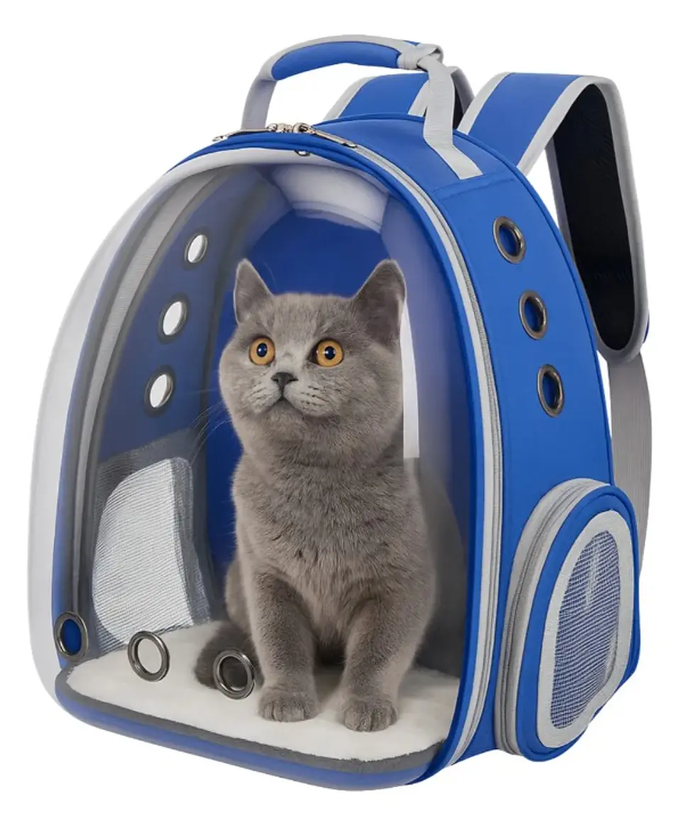 Mochila de transporte 6