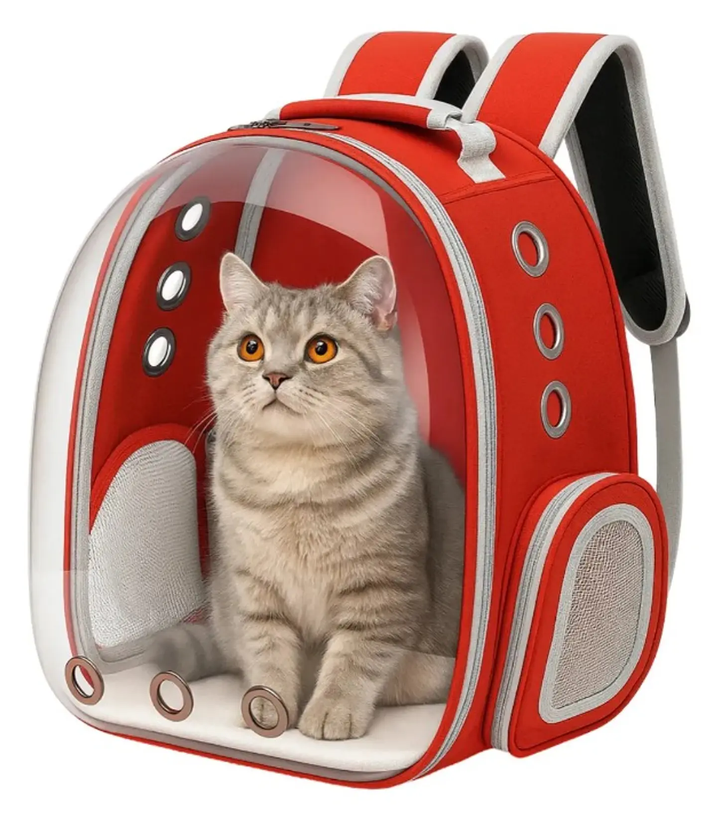 Mochila de transporte 9