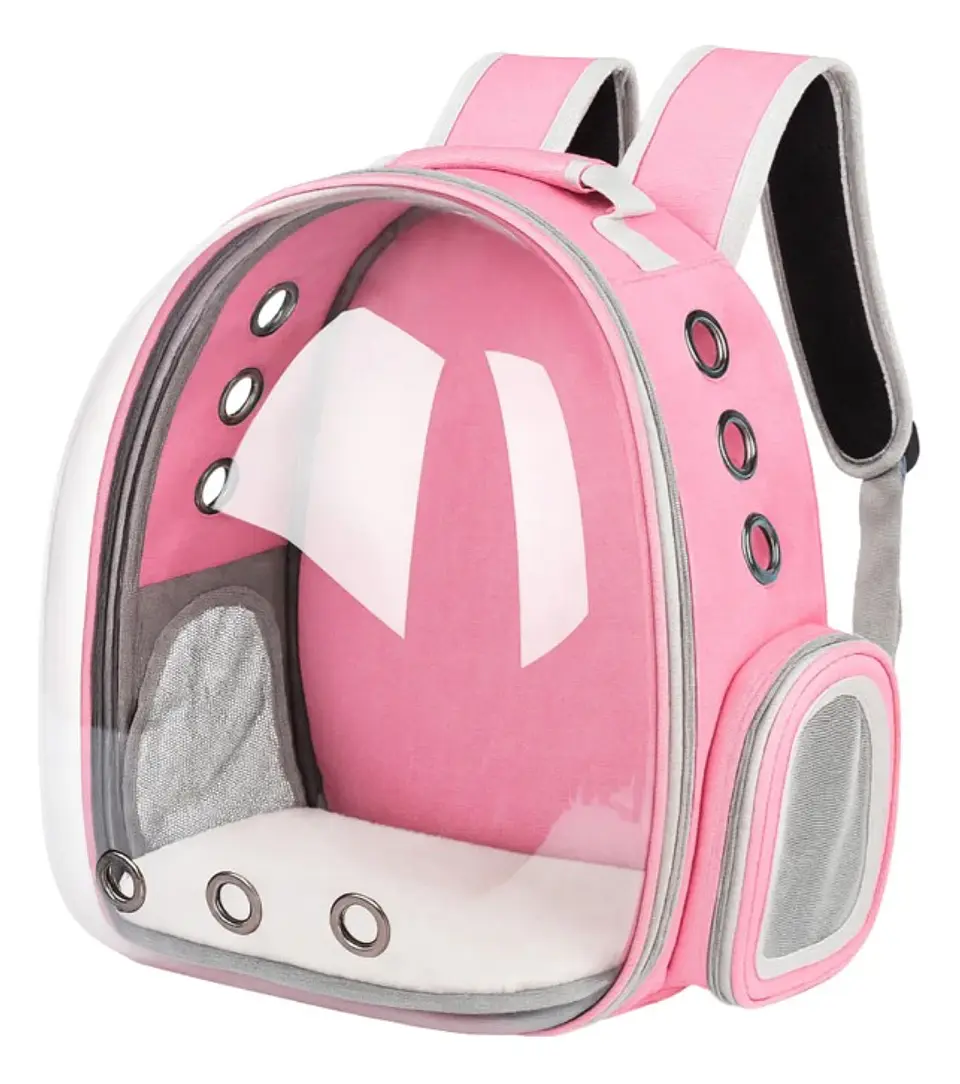 Mochila de transporte 10