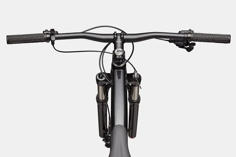 Bicicleta Cannondale 29 Trail SL 4 3