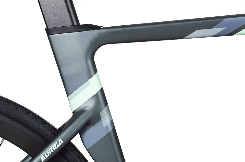 Bicicleta Java Auriga RX-24 4
