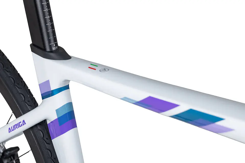 Bicicleta Java Auriga RX-24 7