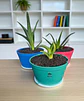 Promocion 3 Maceteros PEYU con Platitos | Plastico Ecologico Reciclado - Miniatura 4