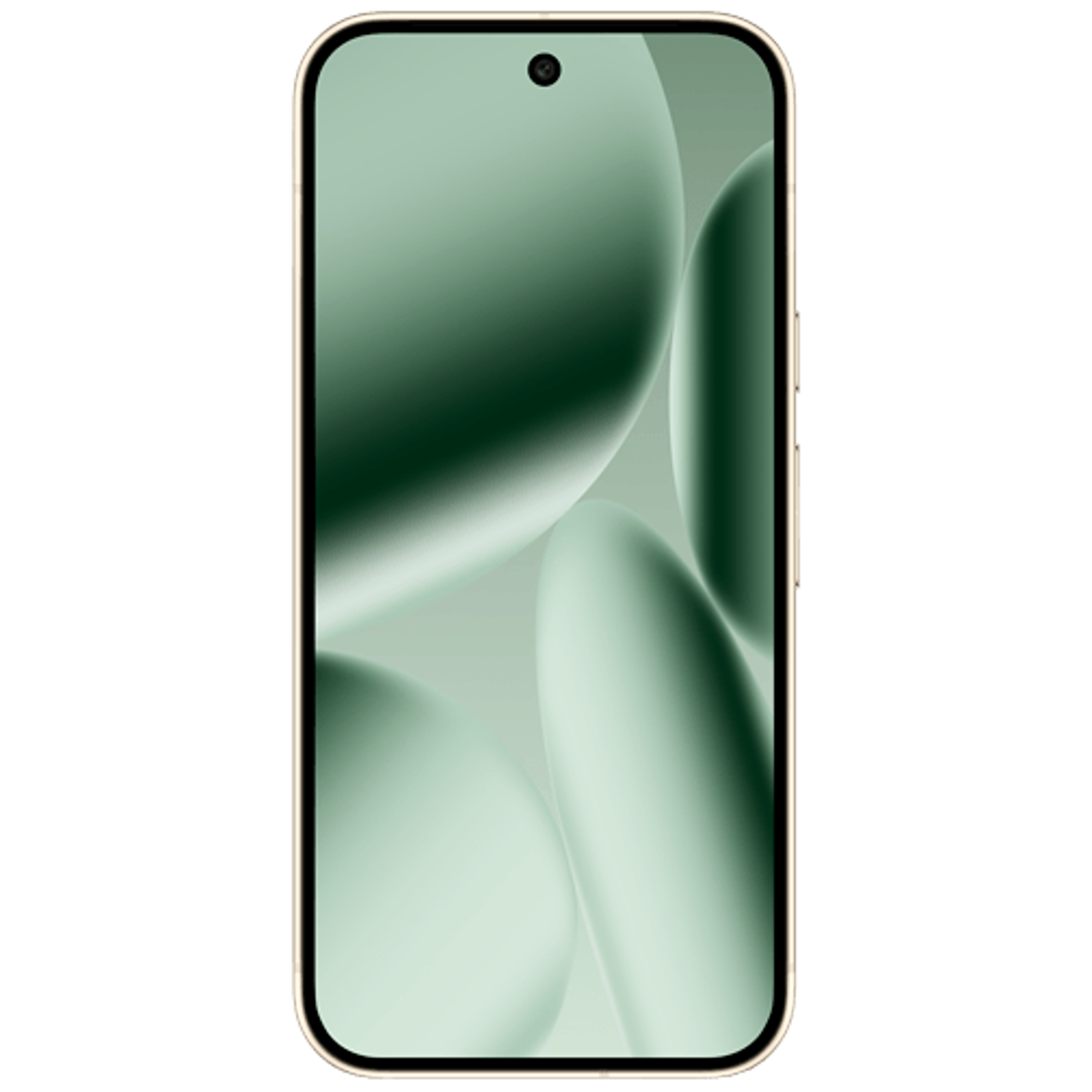 Google Pixel 10 Pro 256GB Verde 1