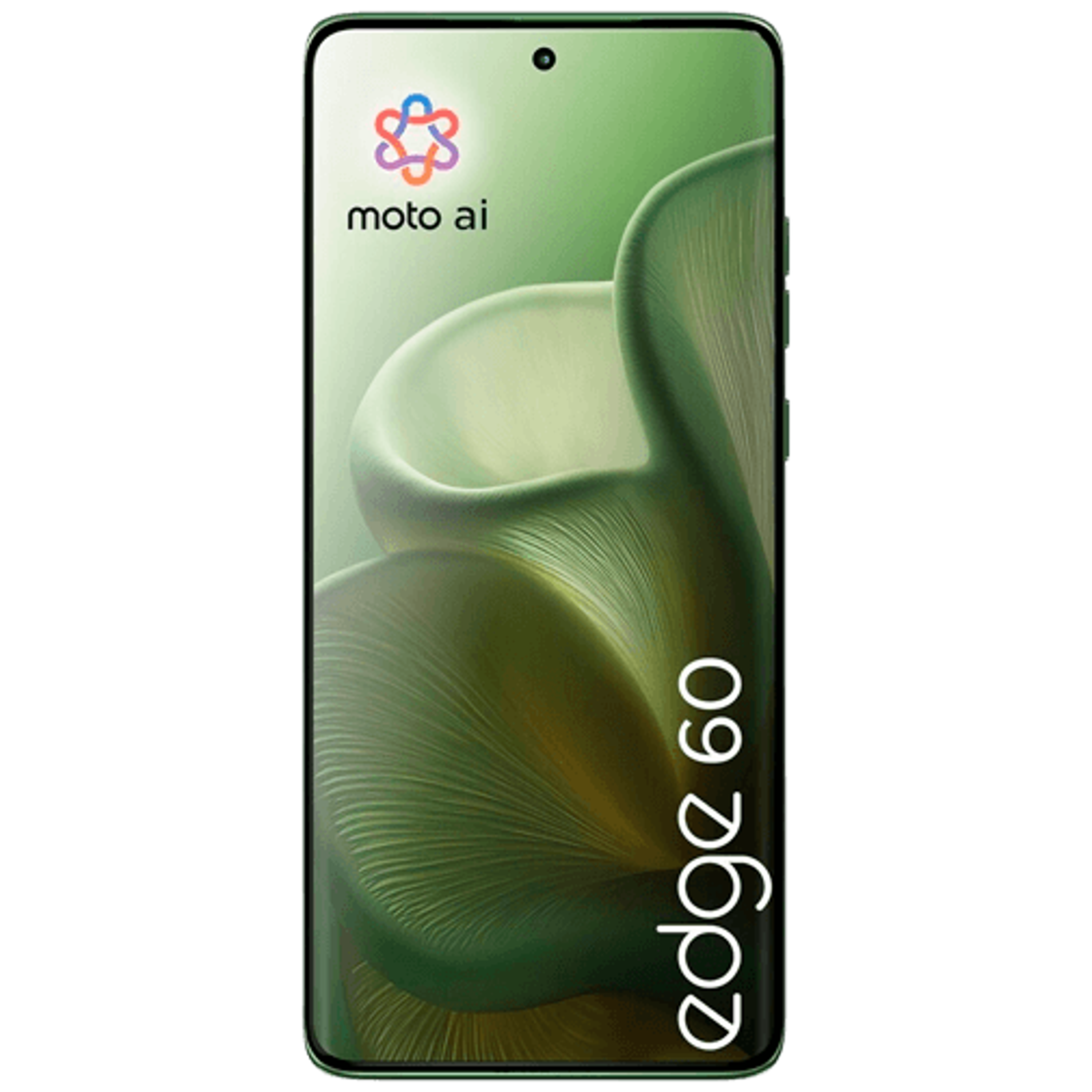 Motorola Edge 60 256GB Verde 1
