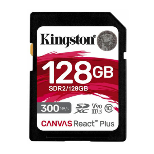 KINGSTON TARJETA DE MEMORIA SD 256GB XC CANVAS SELECT PLUS 100R C10 UHS-I U3 V3