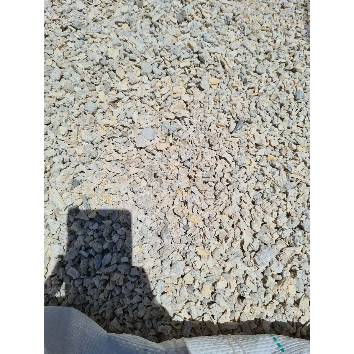 Conchuela