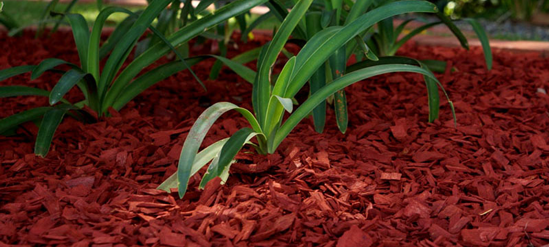 Mulch