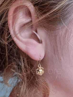 Brincos Tesouros Conta Pendente