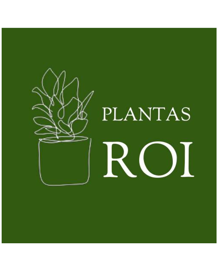 PLANTAS ROI