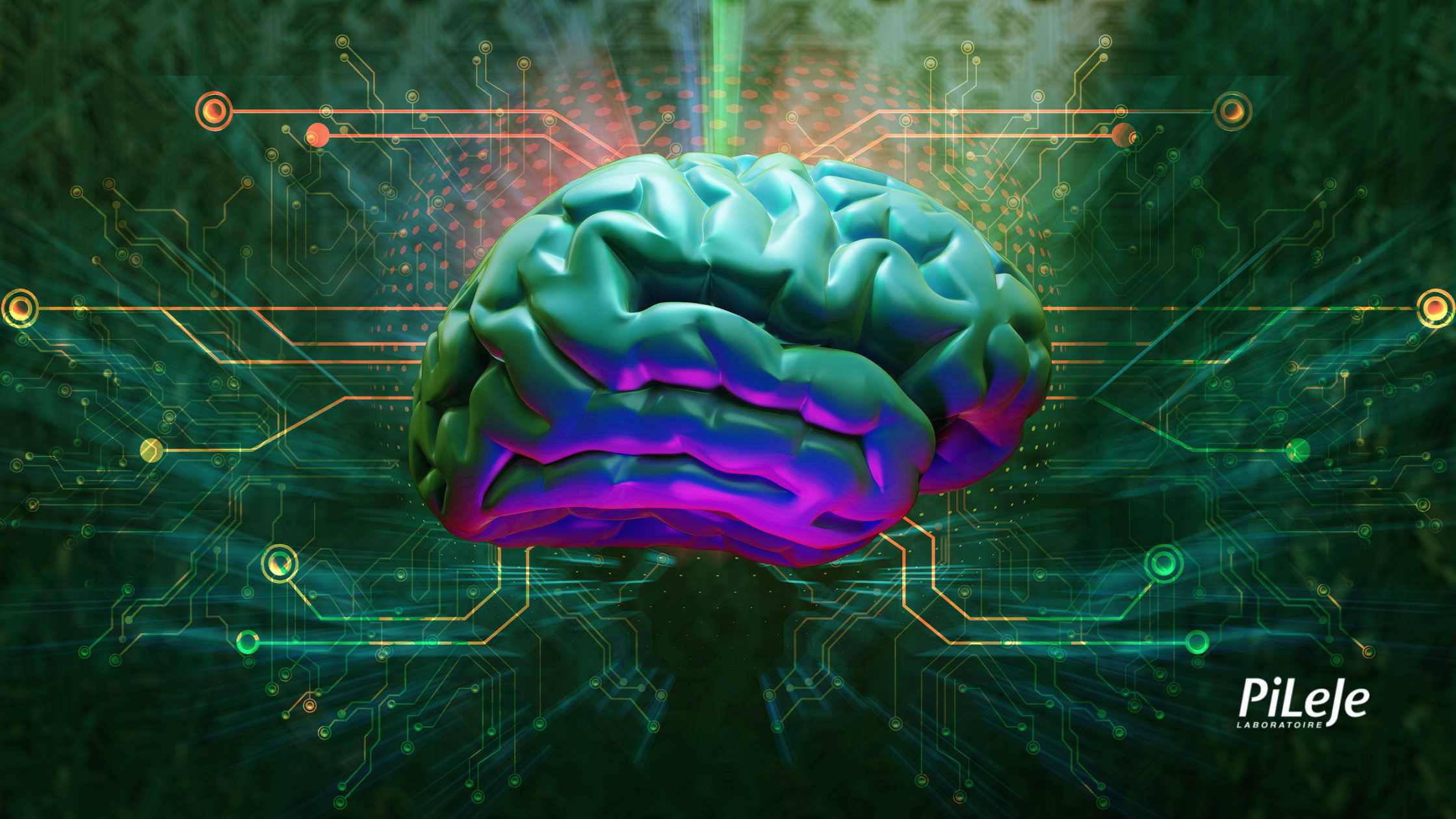 Interacciones entre el sueño, el cerebro y el intestino.