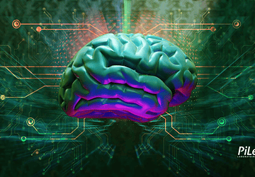 Interacciones entre el sueño, el cerebro y el intestino.