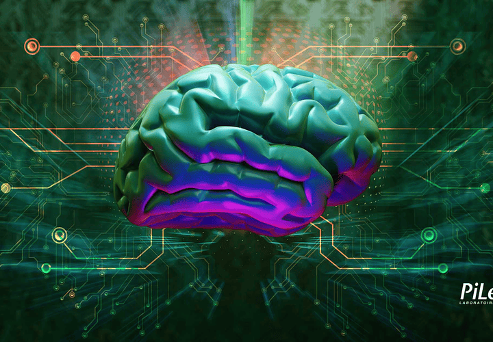 Interacciones entre el sueño, el cerebro y el intestino.