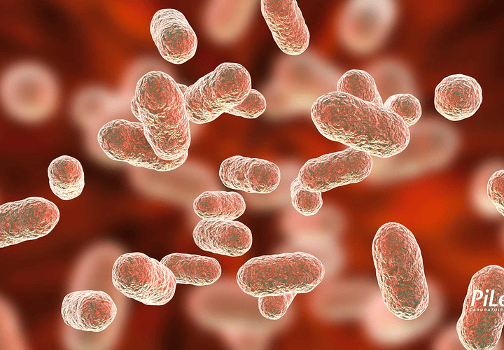 RM Revista de Microbiota