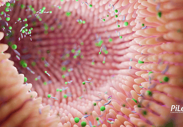 Selección de las cepas probióticas: la carta HQM