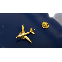 A321 PIN DORADO