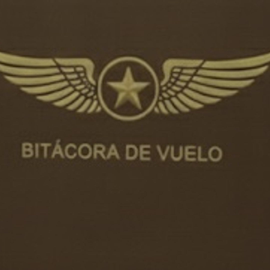 BITÁCORA DGAC CHILE 4