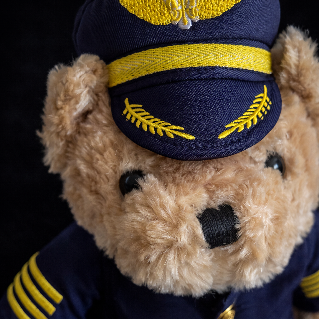 Oso de Peluche Capitán de Línea Aérea – Teddy Bear Piloto 4