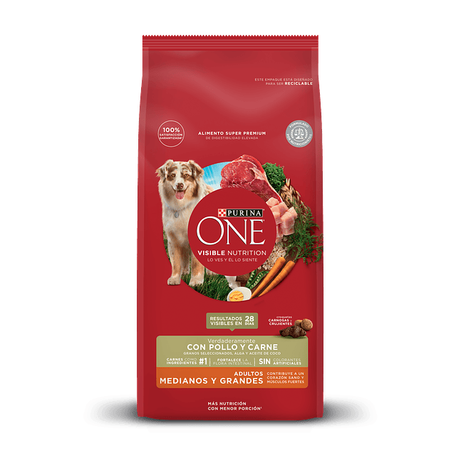 PURINA ONE ADULTO PERRO POLLO Y CARNE 12 KG 